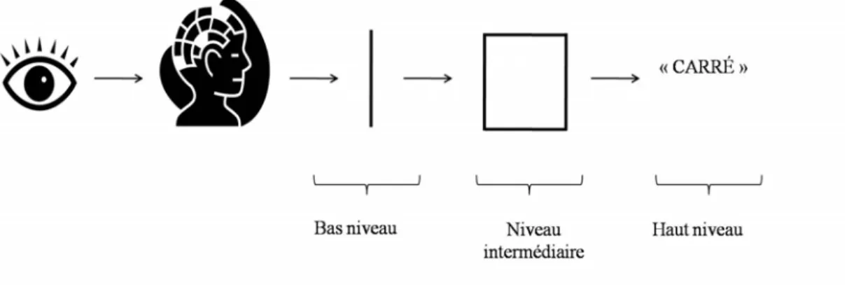 Figure 1. Schématisation des niveaux de traitement au sein de la perception 