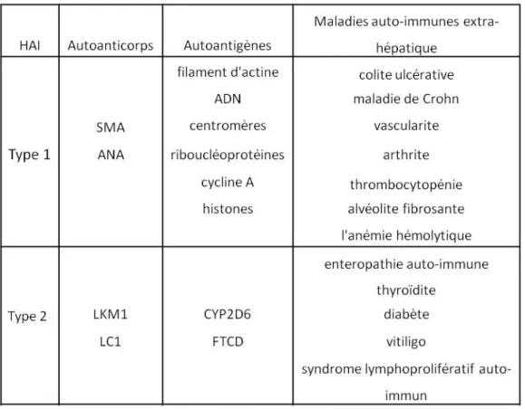 Tableau 1 : Association des deux types d’HAI avec leurs autoanticorps/autoantigènes  ainsi que les différentes maladies autoimmunes extra-hépatiques qui leur sont 