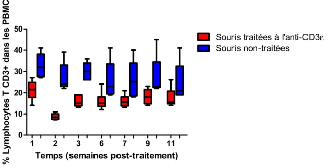 Figure 3: Évaluation de l’efficacité du traitement à l’anti-CD3ε en quantifiant les  lymphocytes T CD3+ par cytométrie en flux