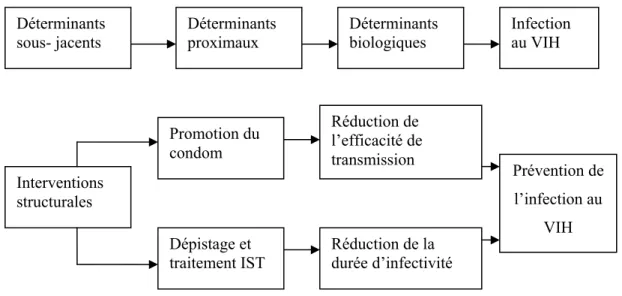 Figure 1 : Déterminants de l’infection au VIH et prévention primaire de l’infection (adapté 