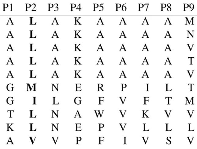 Tableau 1.I – Un sous-ensemble de séquences de peptides connus pour se lier à l’isoforme HLA- HLA-A*0201 P1 P2 P3 P4 P5 P6 P7 P8 P9 A L A K A A A A M A L A K A A A A N A L A K A A A A V A L A K A A A A T A L A K A A A A V G M N E R P I L T G I L G F V F T M T L N A W V K V V K L N E P V L L L A V V P F I V S V