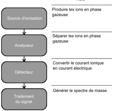 Figure 1.5 – Structure d’un spectromètre de masse. Le spectromètre de masse se compose principa- principa-lement de 4 éléments : la source d’ionisation, l’analyseur, le détecteur et la partie qui traite le signal pour générer le spectre de masse.