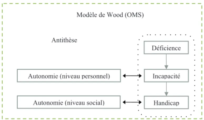 Figure 1.1: Sch´ema illustrant le positionnement de l’autonomie par rapport au mod`ele de Wood.