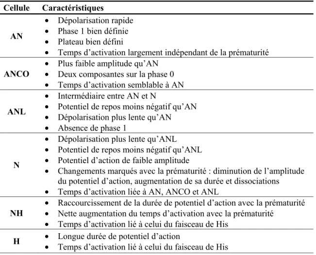 Tableau 1 : Caractéristiques des différents types cellulaires du nœud AV  Cellule  Caractéristiques