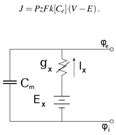 Figure 1.4 – Équivalent électrique de la membrane