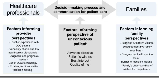 Figure 4.1: Factors shaping communication and decision making for DOC  patients 