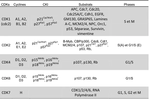 Tableau I Les CDKs, les cyclines, les inhibiteurs et leurs substrats  