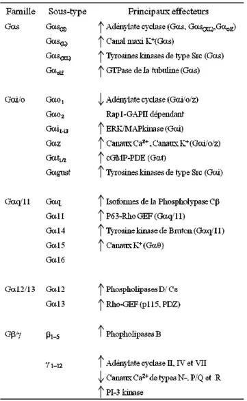 Tableau I. Les protéines G hétérotrimériques et leurs principaux effecteurs.   Adapté à partir de Milligan et al
