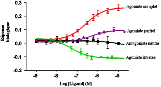 Figure 8 Propriétés des ligands  