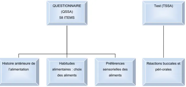 Figure 5-2 : Domaines représentés par le questionnaire et le test  5.6  Créations des items 