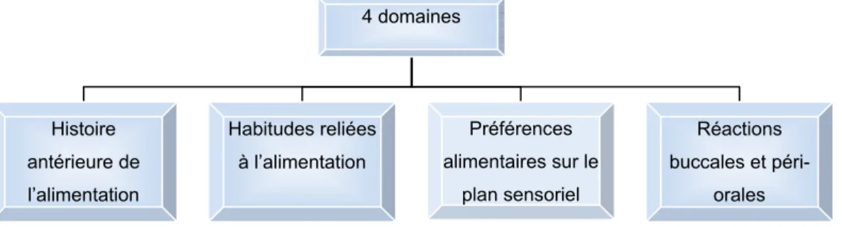 Figure 5-1 : Domaines pertinents aux problèmes d’alimentation d’ordre sensoriel 