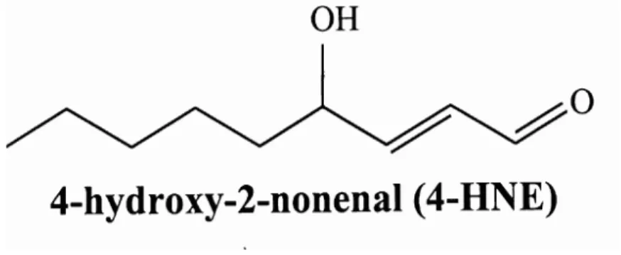 Figure 4: Structure of HNE with an α-β double bond and a hydroxyl group  