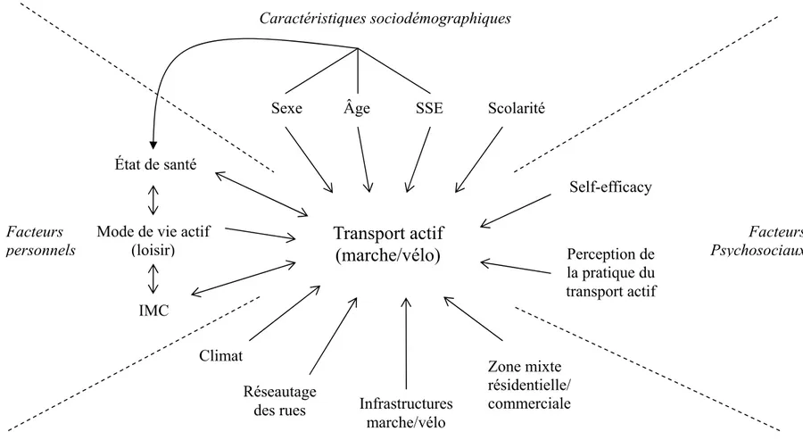 Figure 1 Schéma conceptuel de la pratique du transport actif  Facteurs PsychosociauxÂge Sexe Transport actif (marche/vélo) IMC Scolarité SSE État de santé Infrastructures  marche/vélo  Climat 