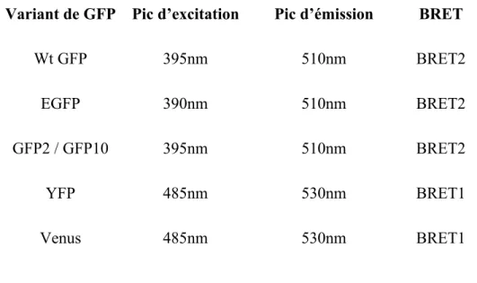 Tableau II : principaux variants de GFP utilisés comme accepteurs d’énergie en 