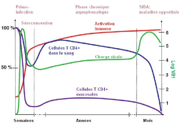 Figure 2. Progression de l’infection par le VIH. 