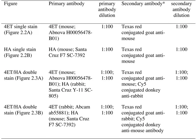 Table 2.1.  Antibody concentrations used for indirect immunofluorescence. 