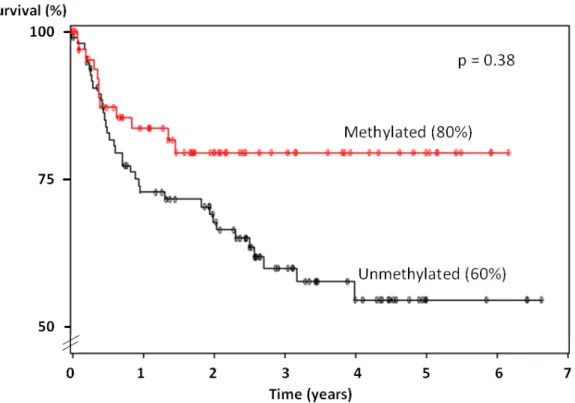 Figure 4 – Disease free survival 