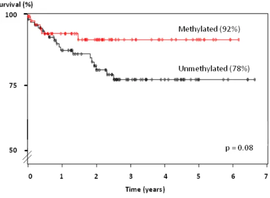 Figure 5 -    Distant metastasis free survival 
