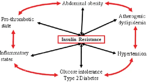 Figure 6. Metabolic Syndrome Components [6] 