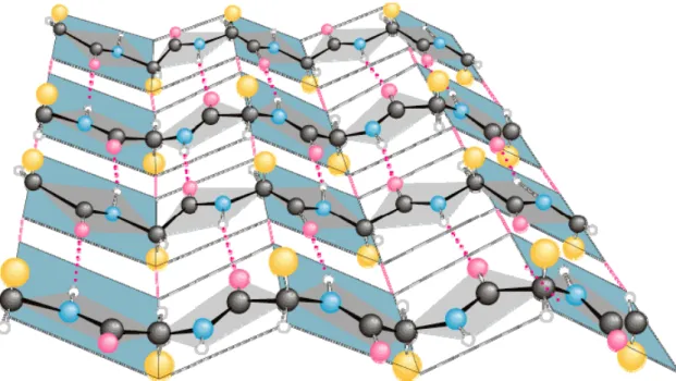 Figure 1.7. An example of a pleated beta sheet where the oxygen (O) atoms are in purple,  nitrogen (N)  atoms in blue, hydrogen (H) atoms in white, Cα atoms in black, and side chains in orange (Preston, 2009)