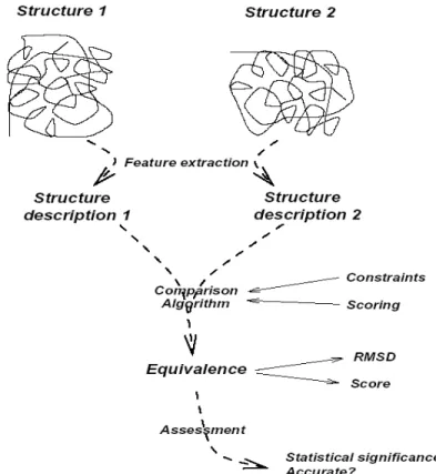 Figure 1.12. Pairwise structural comparison framework which includes: 1) feature extraction, 2)  comparison algorithm 3) scoring schemes, and 4) assessment and validation (Eidhammer et al., 1999)