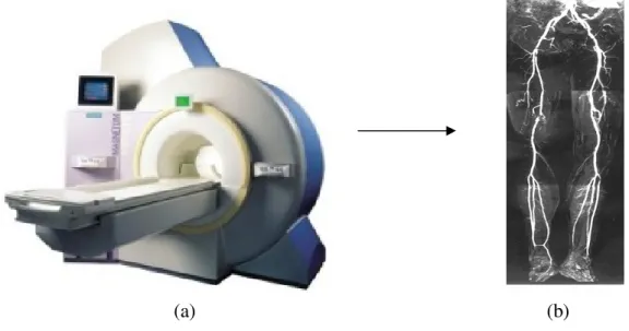 Figure 1.13: ( a) MRI system. (b) MRA combined views of different portions of the lower limb anatomy  presented into one simple view