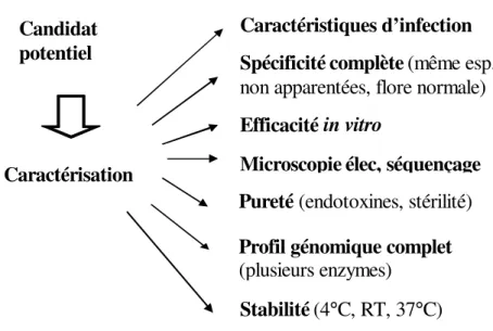 Figure 4 : Processus de caractérisation d’un bactériophage 