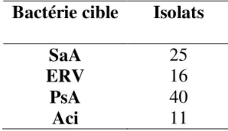 Tableau IV: Total des isolats de phages par bactérie cible 