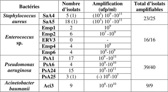 Tableau V: Amplification des isolats de phages après 24h 