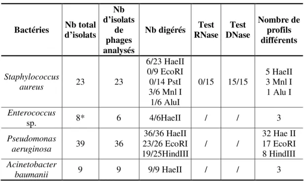 Tableau VI: Digestion des isolats de phages 