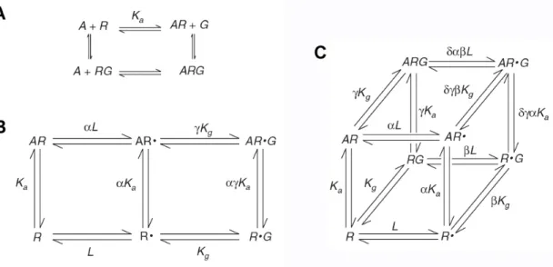 Figure 7. Modèles d’activation des RCPG.