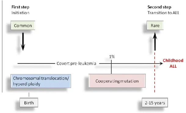 Figure 3. Greaves’ multi-stage model for the development of childhood  ALL 