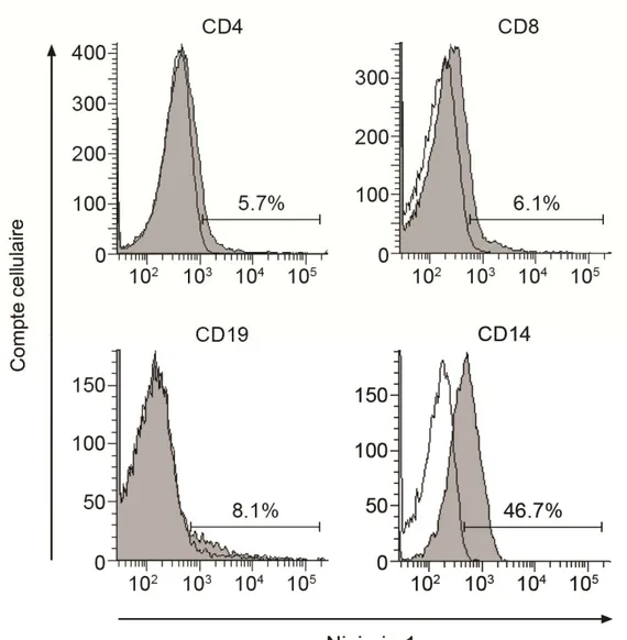 Figure 5 : Ninjurin-1 est préférentiellement exprimée sur les monocytes humains  ex vivo par cytométrie de flux 