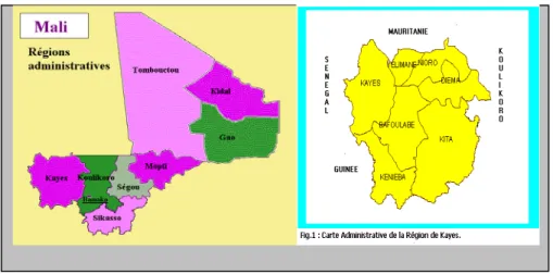 Figure 2 : Carte détaillée de la région de Kayes 