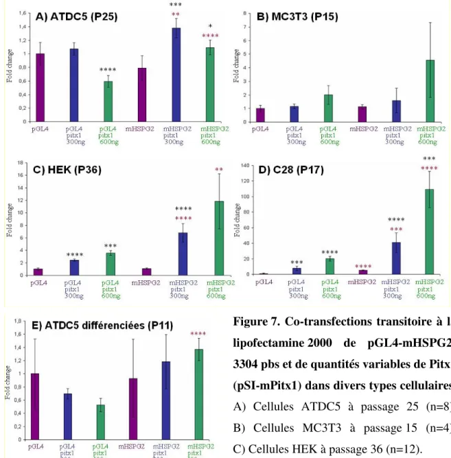 Figure 7. Co-transfections transitoire à la  lipofectamine 2000  de   pGL4-mHSPG2-3304 pbs et de quantités variables de Pitx1  (pSI-mPitx1) dans divers types cellulaires