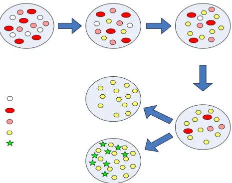 Figure 3. Disturbances in the relative numbers of blood cell populations occurring in leukemia
