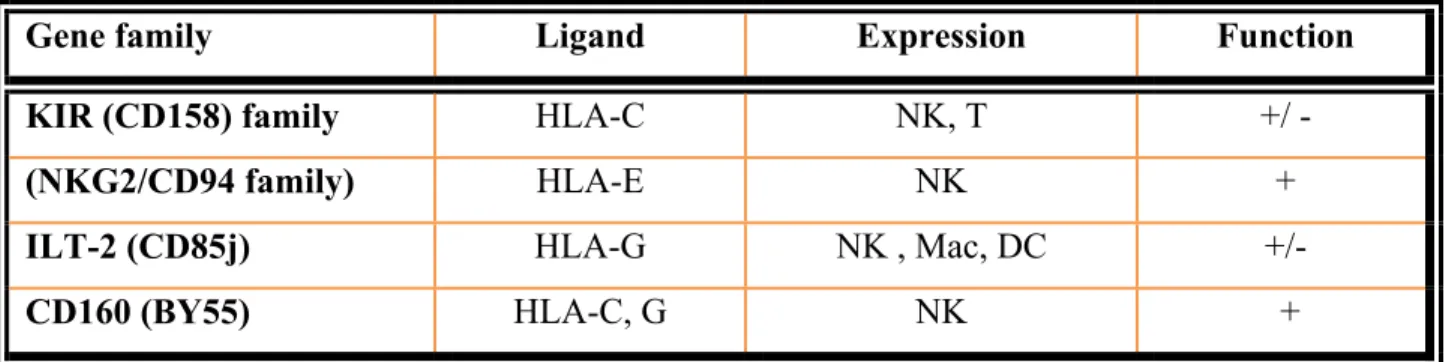 Table 5. MHC-binding receptors and their characterictics. 