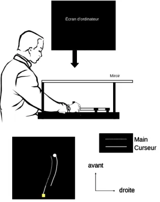 Figure 1 : exemple d’une perturbation du feedback visuel de la main par un  saut de curseur sur un écran vidéo horizontal 