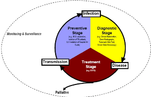 Figure 2.1. Biomedical framework for tuberculosis control 