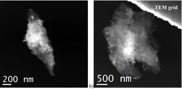 Figure 1.   Z contrast TEM micrographs showing Be powder particles a) Be-F and b) Be-I