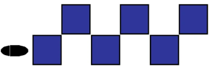 Figure 6 – Test de sauts en zigzag 