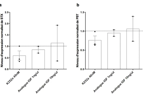 Figure 3.1. Le blocage des récepteurs TrKB et l’application d’un analogue d’IGF-1  dans  les  cultures  organotypique  de  cerveau  de  souris  de  EP11-14  démontre    que  BDNF  et  IGF-1  ne  sont  pas  impliqués  dans  la  régulation  de  l’expression 