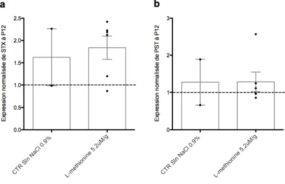 Figure 3.3. L’injection IP bi-quotidienne de 5.2uM/g de L-méthionine chez la souris  de P4 à P12 a pour effet (a) d’augmenter l’expression de STX lorsque comparé à un  contrôle du même âge (représenté par la ligne horizontale)