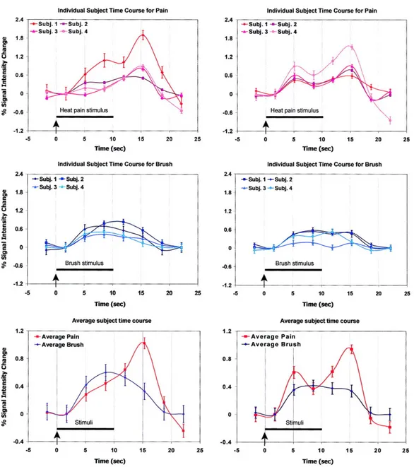 Figure 1. Time course of the BOLD nociceptive signal 