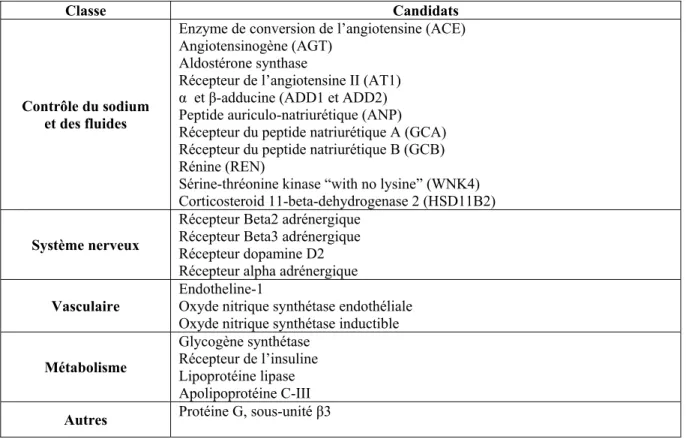 Tableau 1 Principaux gènes candidats de l’hypertension essentielle regroupés selon 5  classes de fonctions physiologiques (tiré de [17])