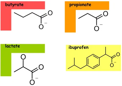 Figure 2  Structure moléculaire des monocarboxylates tels que les acides gras à chaîne courte (propionate et  butyrate) et le lactate