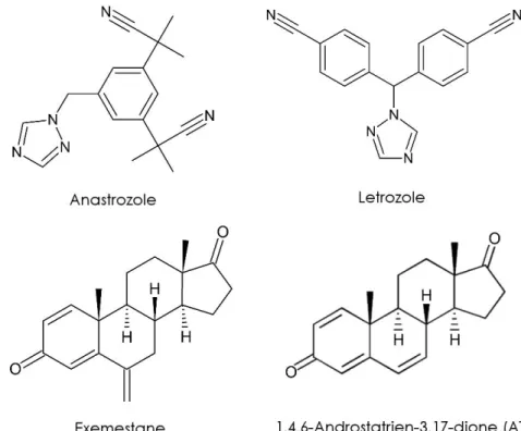 Figure 8 : Structure chimique de différents inhibiteurs de l’aromatase. 