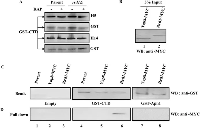 Fig. 3:  Jouvet et al., 2010