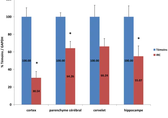 Figure 7 : Effet de l’insuffisance rénale chronique (IRC) sur l’expression  génique de l’isoforme 3A1/2 dans les microsomes de cerveau de rat