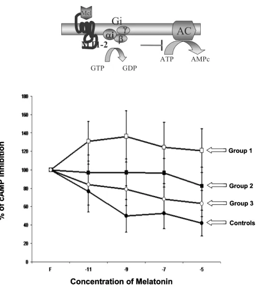 Figure 1.1: A. Melatonin signal transduction. Melatonin binds to its G protein coupled 